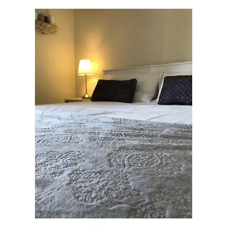 Rosa Charming Flat *